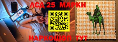 наркотики Будённовск