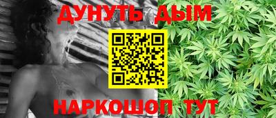индика Гай