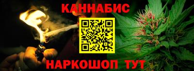 шишки Абакан