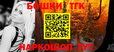 индика Гай