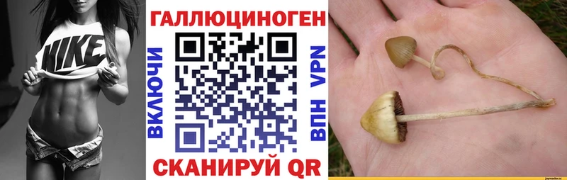 Псилоцибиновые грибы Psilocybine cubensis  что такое наркотик  Дмитров 