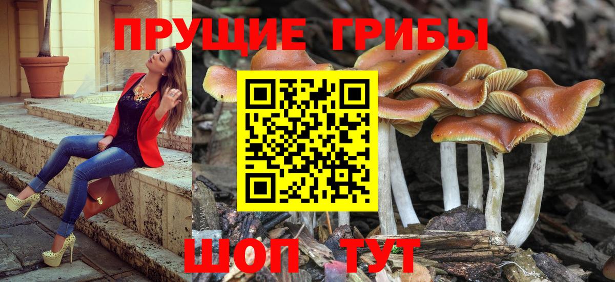 Галлюциногенные грибы мухоморы  Дмитров 