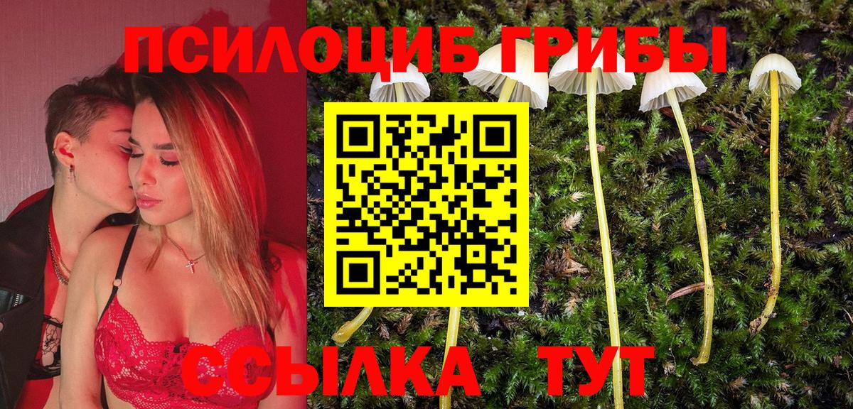 Псилоцибиновые грибы прущие грибы  Вход с VPN  Галлюциногенные грибы мицелий  Дмитров 