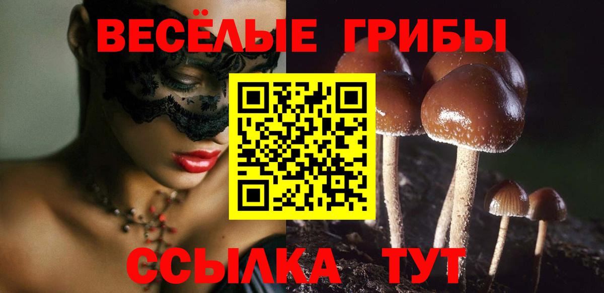 Дмитров  Галлюциногенные грибы MAGIC MUSHROOMS  Вход с VPN 